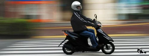 В России ввели права на скутеры и мопеды до 50cc - 2013 водительское удостоверение